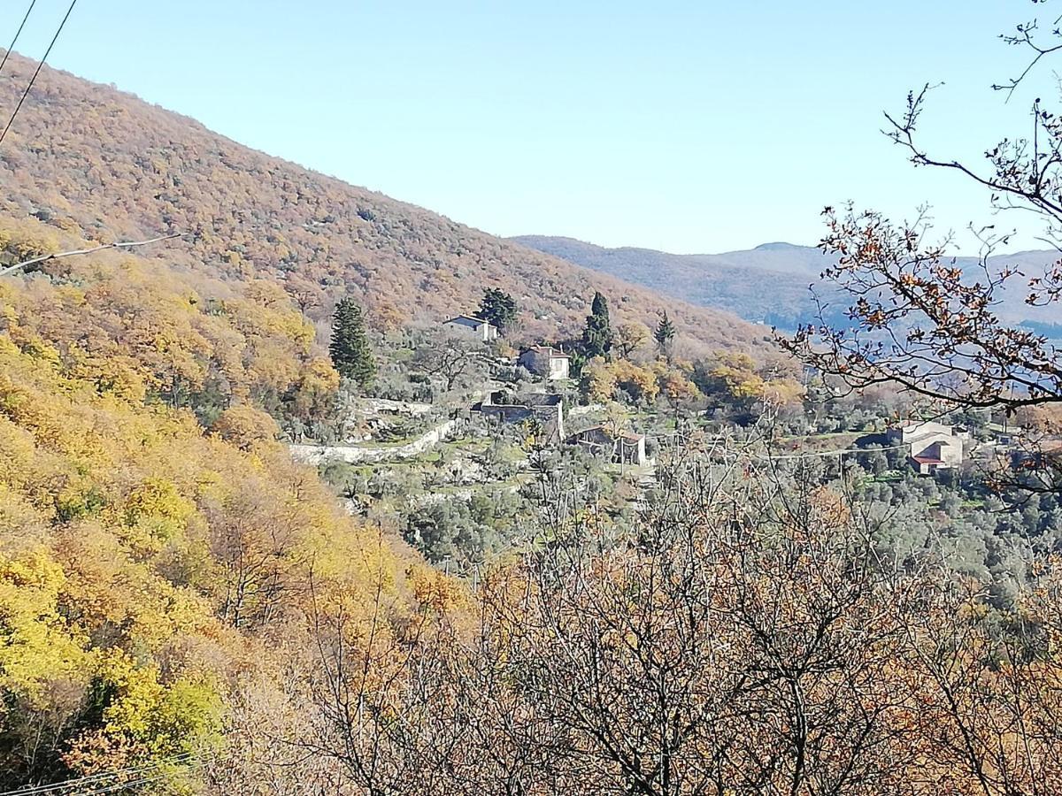 Agriturismo Casamatta Azienda Agricola カレンツァーノ エクステリア 写真