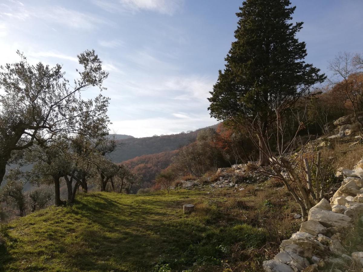 Agriturismo Casamatta Azienda Agricola カレンツァーノ エクステリア 写真