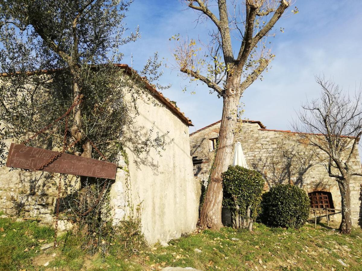 Agriturismo Casamatta Azienda Agricola カレンツァーノ エクステリア 写真