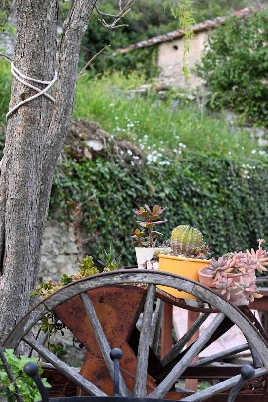 Agriturismo Casamatta Azienda Agricola カレンツァーノ エクステリア 写真
