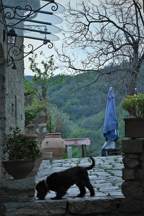 Agriturismo Casamatta Azienda Agricola カレンツァーノ エクステリア 写真
