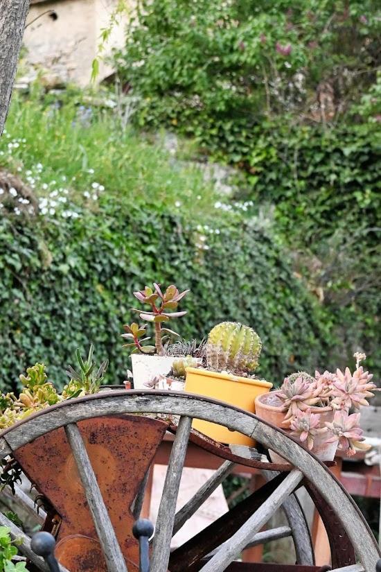 Agriturismo Casamatta Azienda Agricola カレンツァーノ エクステリア 写真
